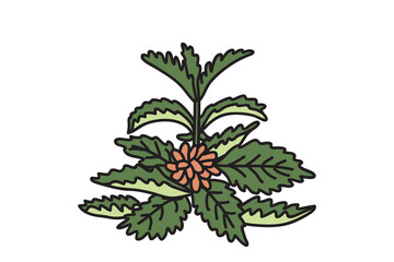 Botanical exotic flower isolated on white background. Hand drawn tropical plant with orange Flowers green Leaves Stems vector illustration. Graphic design element for Birthday Wedding Greeting Card