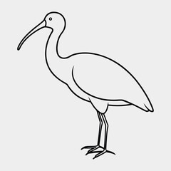 Fototapeta premium line art of a glossy-ibis on the white background 01.eps