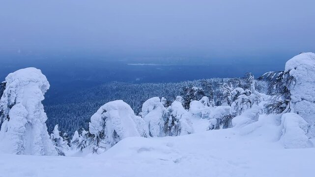 View of the white rocks and the winter forest on Mount Polyud. Lappish spruces on Mount Polyud in the Perm region in winter. In winter, there is a lot of snow and frost on the trees in the Urals. 4К	