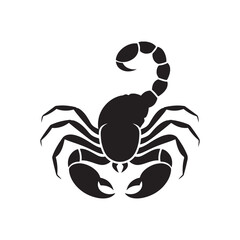black scorpion isolated on white silhouette 