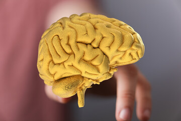 3D golden brain model.  Intelligence,  mind power,  neurology concept.