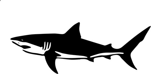 shark vector illustration