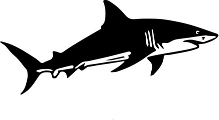 Obraz premium shark vector illustration