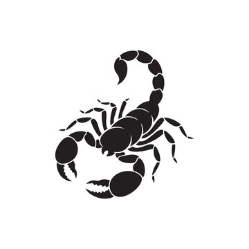 vector illustration of a scorpion silhouette 