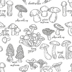 Mushrooms and their title. Seamless vector pattern on white. Hand drawn illustration. Perfect for design templates, wallpaper, wrapping, fabric, print and textile. Black and white.