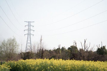 Huge steel electricity tower with blue sky in the background.