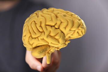 High-quality stock photo of a golden brain, perfect for concepts of intelligence, innovation, and creativity.