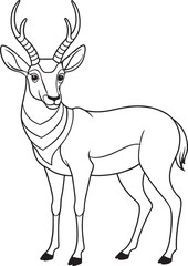 Elegant Pronghorn Line Art Drawing Wildlife Animal Vector Illustration