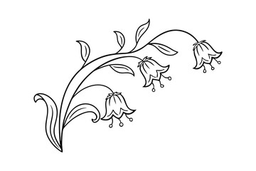 Elegant black and white vector illustration of bell flowers and leaves on white background
