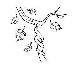 Simple illustration of a vine climbing a tree with falling leaves perfect for design projects.