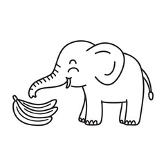 Fototapeta premium A trunk of an elephant grabs a bunch banana