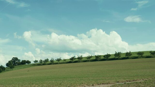 Weite Wiese mit gr&uuml;nen B&auml;umen unter einem strahlend blauen Himmel, durchzogen von wei&szlig;en Wolken. Eine friedliche Naturszene voller Ruhe, Frische und sommerlicher Leichtigkeit.