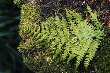 Close-up of golden wedding bands placed on a fern leaf. A symbolic image of marriage, love, and natural elegance. Ideal for wedding themes and romantic designs.