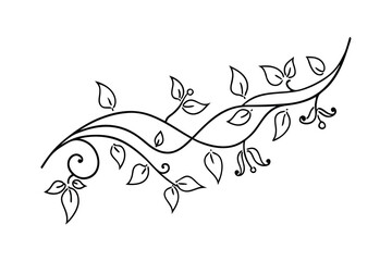 Elegant black and white swirl leaves branch floral decorative design element for invitations