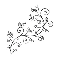 Delicate black line art illustration of a floral branch with swirls and leaves on white background