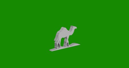 Obraz premium Isolated realistic white wild camel symbol front view with shadow. 3d illustration on green chroma key background