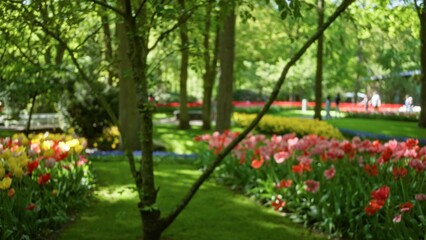 Obraz premium Blurred scene in a green park with colorful flowers featuring tulips and trees under sunlight in spring, where people are walking in the background out of focus.