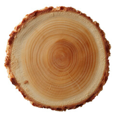 A detailed close-up of a tree stump showcasing its growth rings and natural wood texture, perfect for organic and environmental themes.