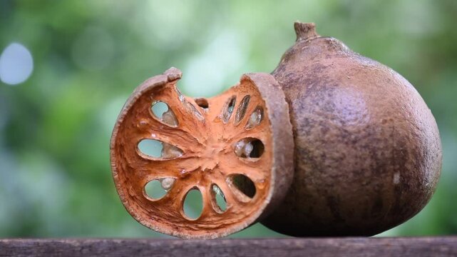 ฺFresh beal fruit and dried slice on natural background.