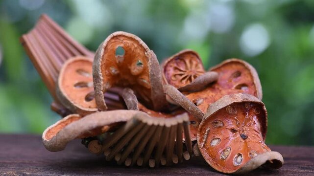 Dried beal slices on natural background.