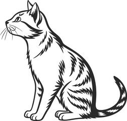 black cat vector illustration