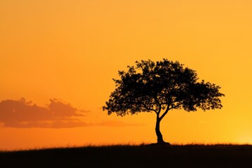 Obraz premium Silhouette of a tree against a vibrant sunset sky in a peaceful landscape