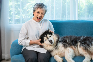 Happy senior Asian woman bonding with Siberian Husky dog on sofa at home