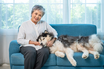 Elderly senior Asian woman sitting on sofa and hugging fluffy Siberian Husky dog indoors, looking at camera