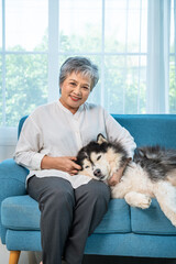 Senior elderly Asian woman sitting on blue sofa cuddling fluffy husky dog at home, looking at camera