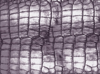 Crocodile leather texture in elegant purple tones, showcasing its luxurious and exotic nature