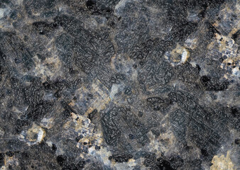 Abstract textured background resembling petrified wood or fossilized material with intriguing patterns