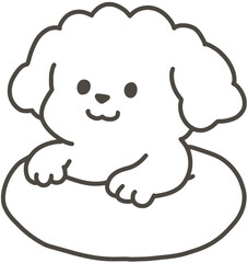 튜브타고있는 강아지