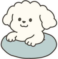 튜브타고있는 강아지