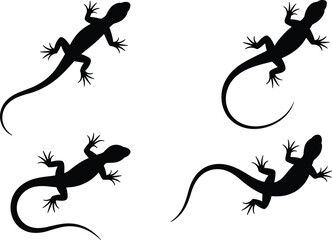 Silhouette of four lizards in various poses, isolated on white background, reptile clipart, nature design, wildlife vector image.