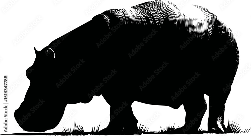 Poster silhouette of a hippo in grass with strong contrast and artistic shading. vector illustration