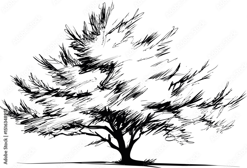 Poster black and white sketch of a windswept tree with a dynamic silhouette. vector illustration