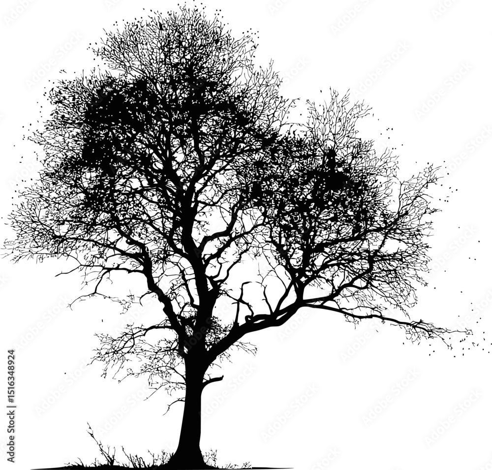 Poster silhouette of a large leafless tree with intricate branches, black and white art. vector illustratio
