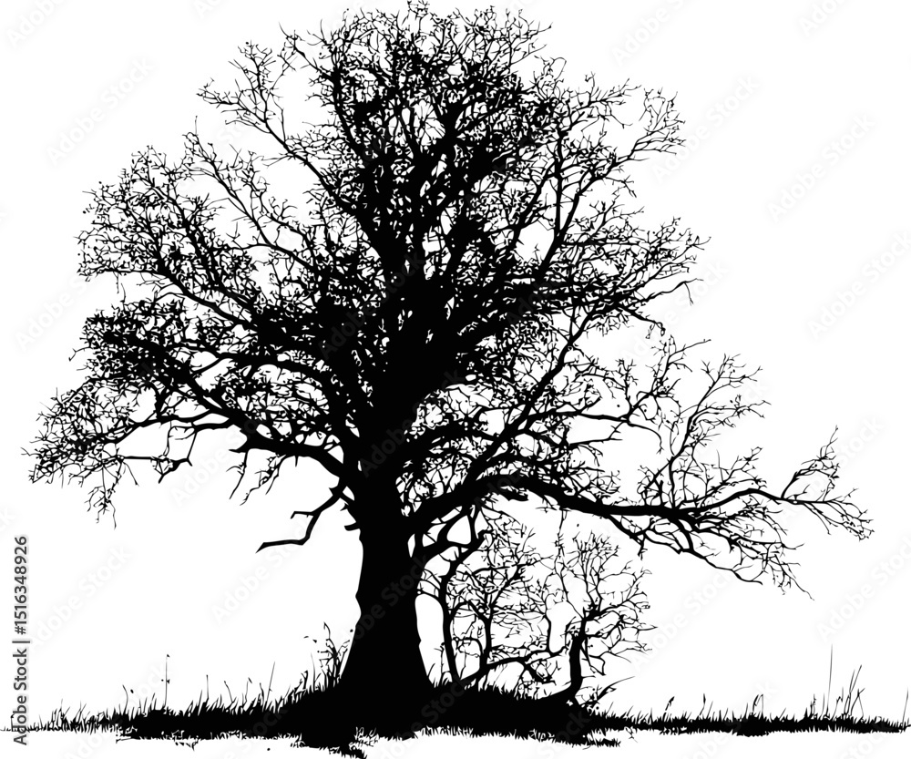 Poster silhouette of a large leafless tree against. vector illustration