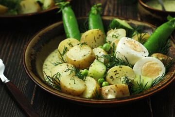 A bowl with farming summer salad in rustic style