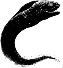 Black silhouette of a moray eel with open mouth against. Vector illustration