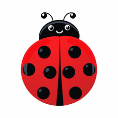 Obraz premium ladybug on white