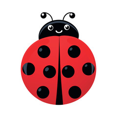 ladybug vector on white