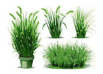 green grass in a pot