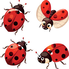 set of ladybird vector