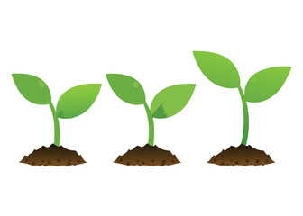 young green plant vector