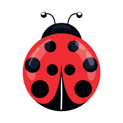 Obraz premium ladybird vector illustration
