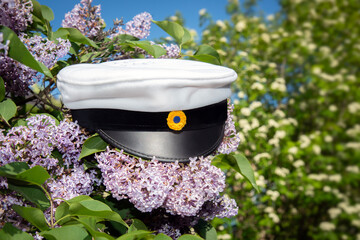Swedish student cap and flower