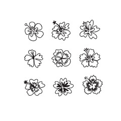 Hibiscus Flower Line Art Collections– Tropical Floral 