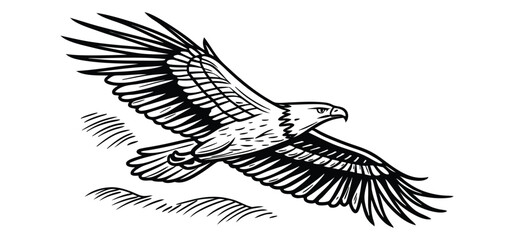 A majestic soaring eagle in flight illustrated with black ink style on a white background graphic.