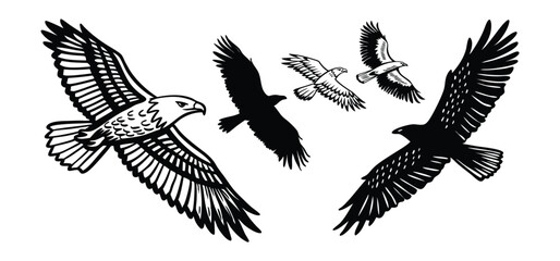 Powerful and majestic eagles soaring through the sky in various positions displaying strength and grace in flight